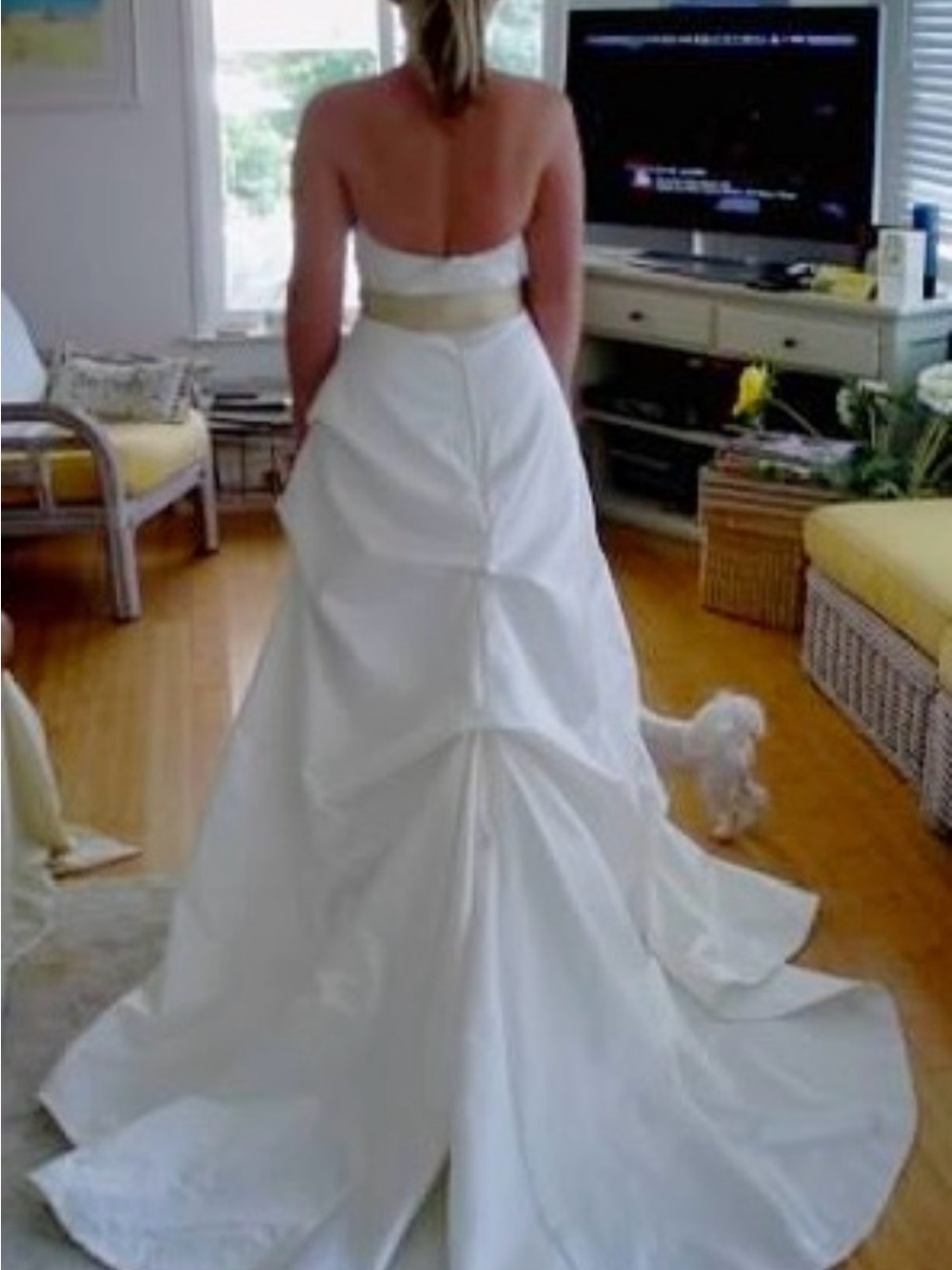 Strapless White Wedding Gown with Belt - Picture 4 of 11
